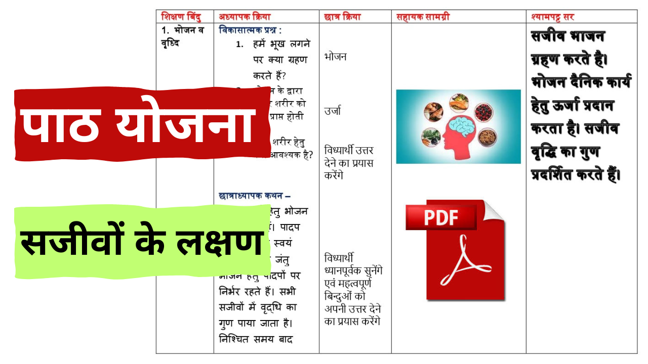 LESSON PLAN Biology B.Ed | PDF