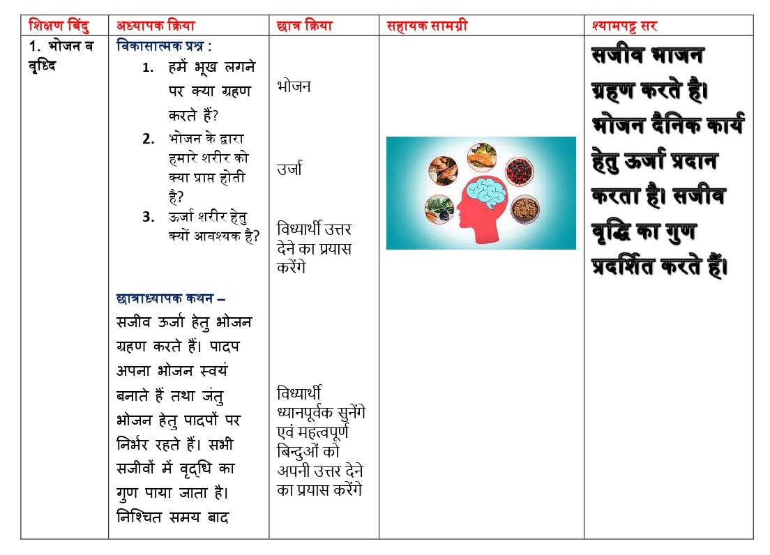 LESSON PLAN Biology B.Ed | PDF